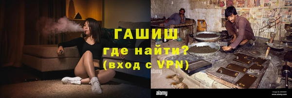 гашик Алексеевка