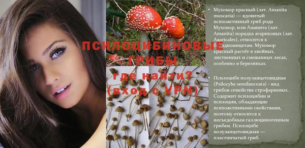 кокс Абаза