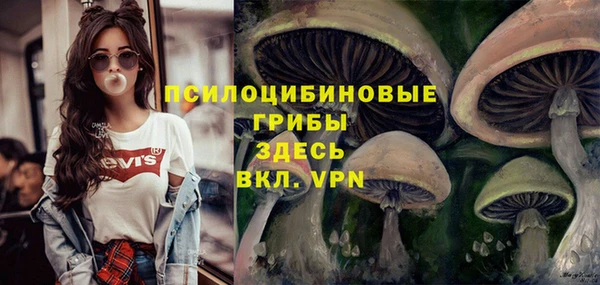 мдпв Осинники