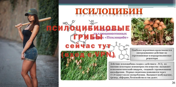 кокс Абаза
