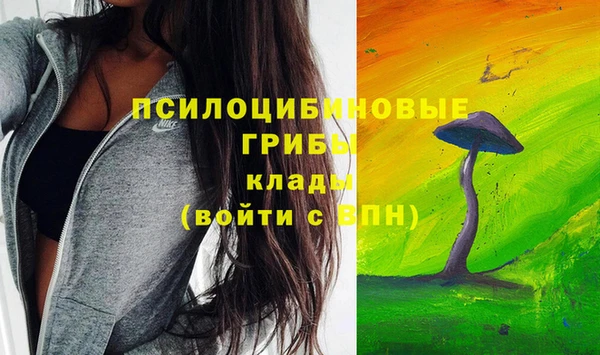 спиды Абдулино