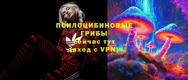 бошки Абинск